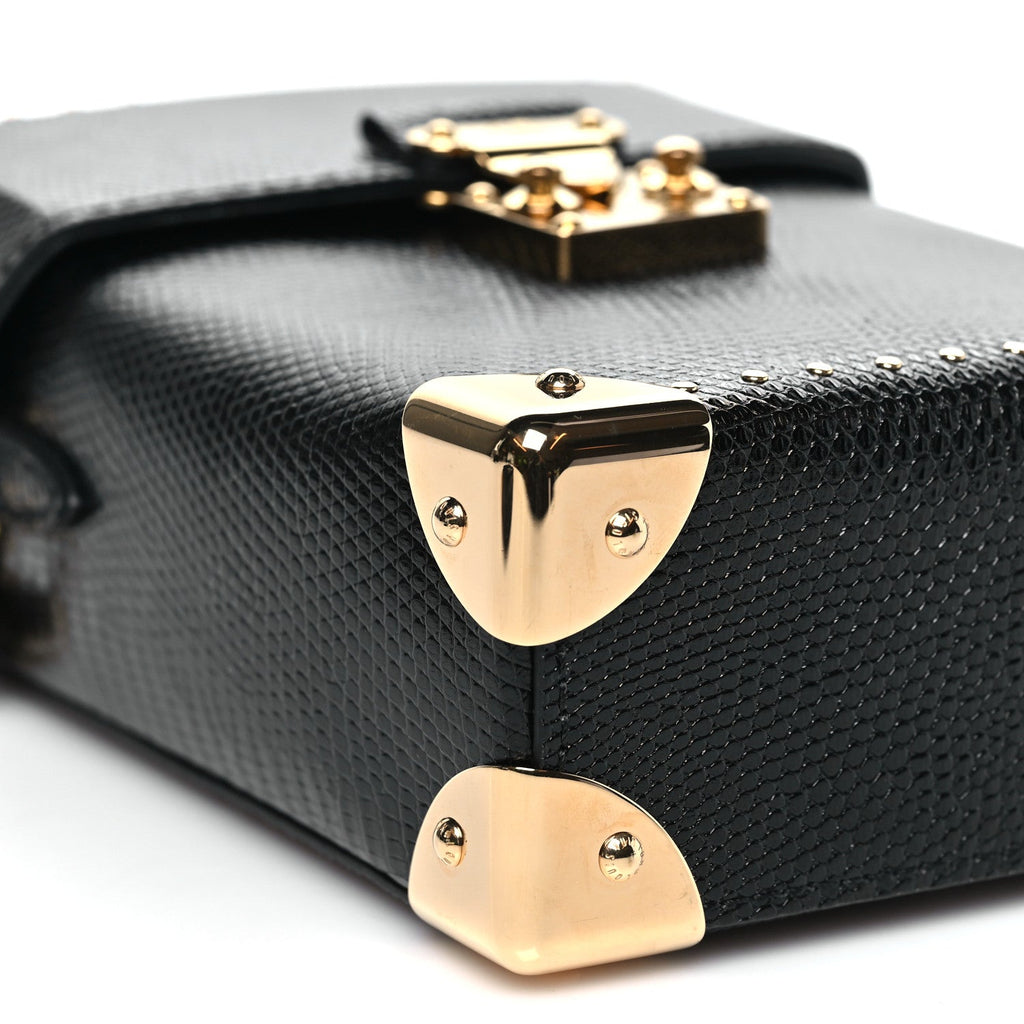 Louis Vuitton Lizard Camera Box Black