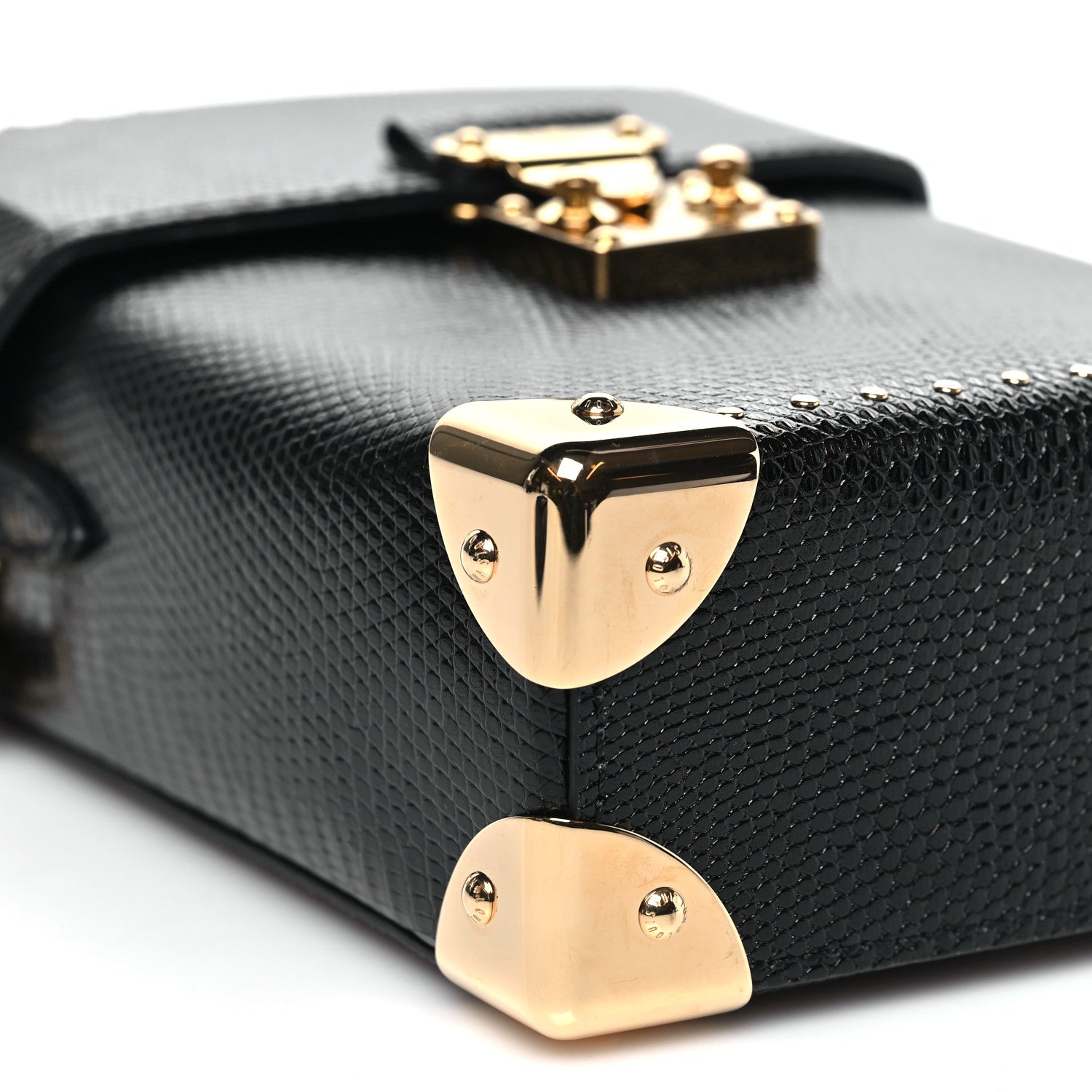 Louis Vuitton Lizard Camera Box Black