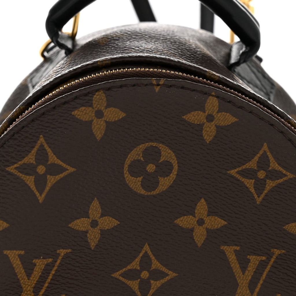 Louis Vuitton Monogram Palm Springs Backpack Mini