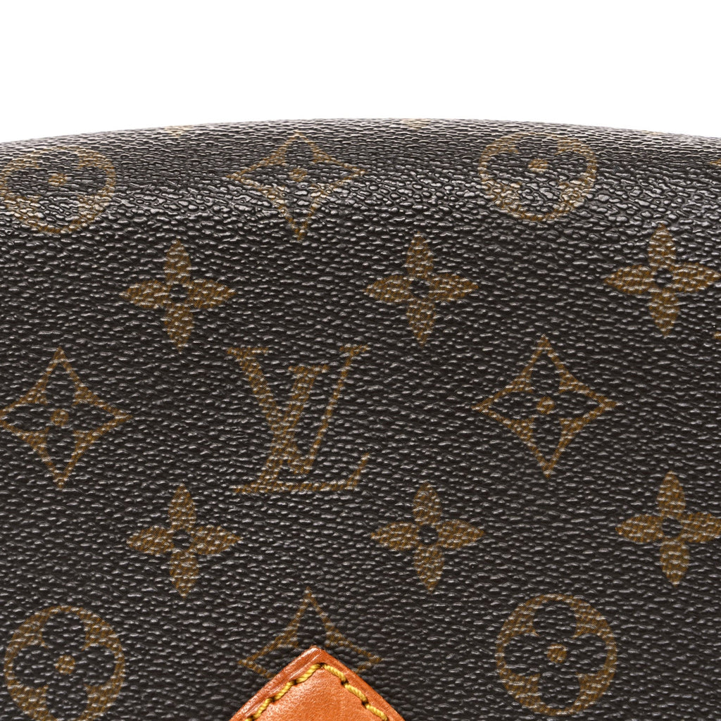 Louis Vuitton Monogram Cartouchiere 22