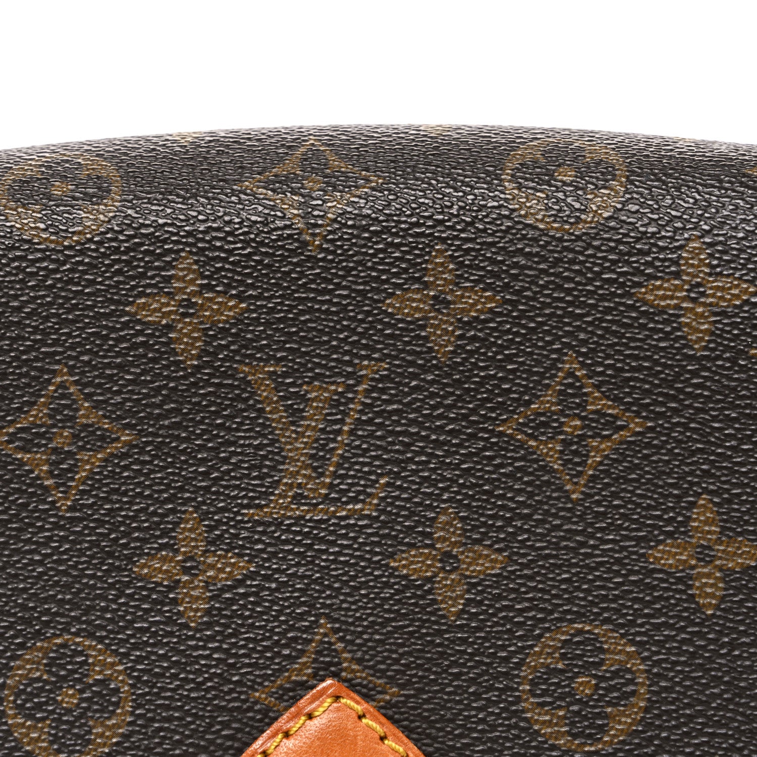 Louis Vuitton Monogram Cartouchiere 22
