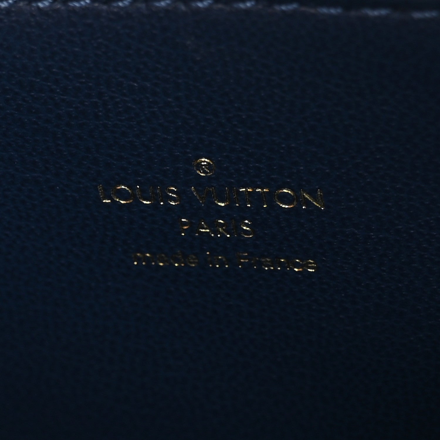 Louis Vuitton Lambskin Embossed Monogram Coussin PM Taupe