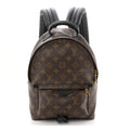 Louis Vuitton Monogram Palm Springs Backpack PM