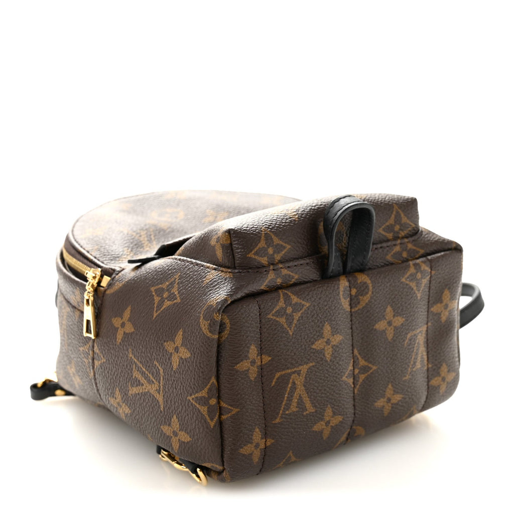 Louis Vuitton Monogram Palm Springs Backpack Mini