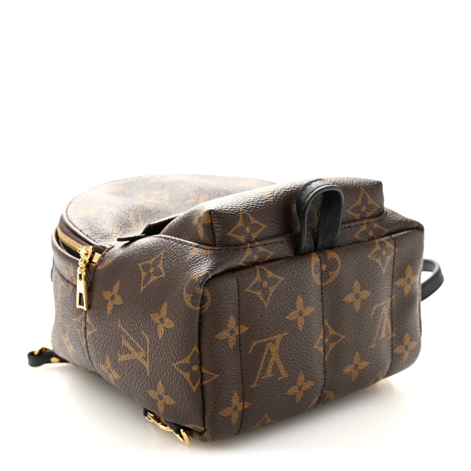 Louis Vuitton Monogram Palm Springs Backpack Mini
