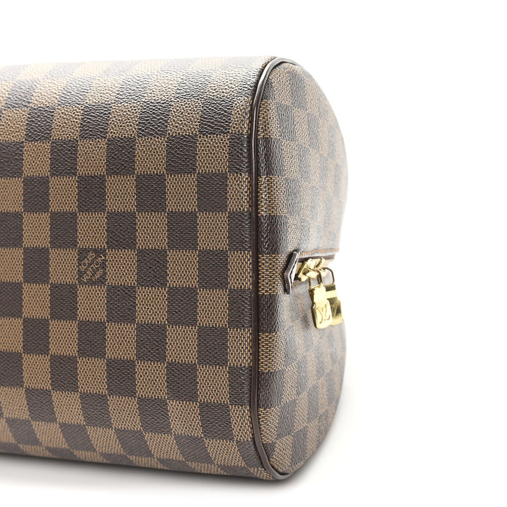 Louis Vuitton Damier Ebene Ribera MM
