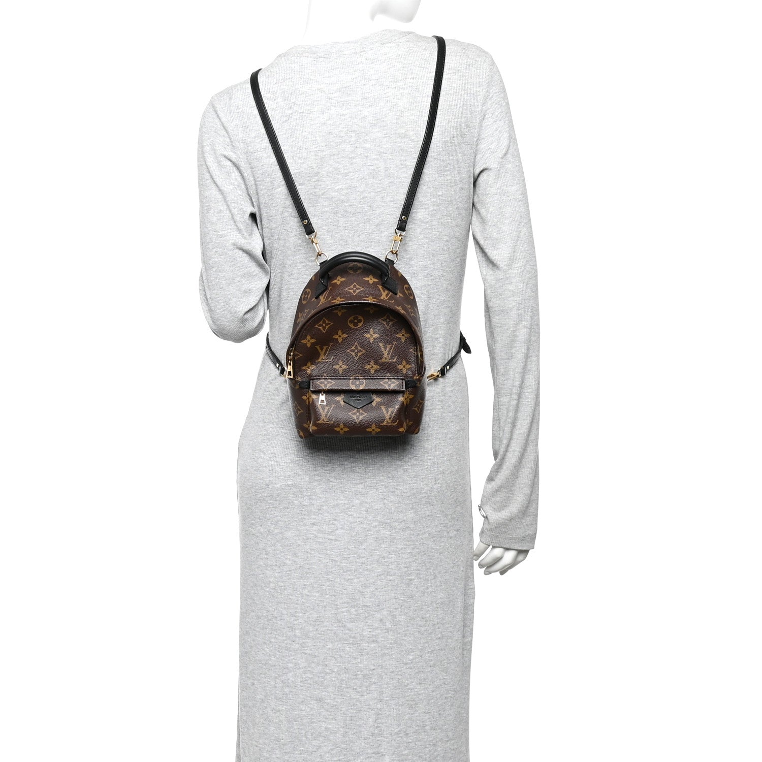 Louis Vuitton Monogram Palm Springs Backpack Mini