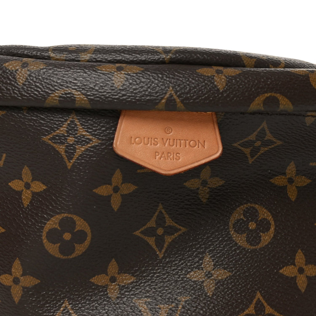 Louis Vuitton Monogram Bumbag