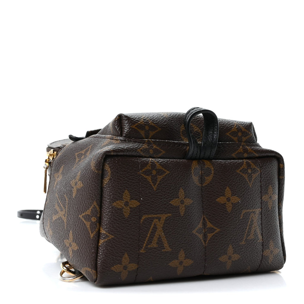Louis Vuitton Monogram Palm Springs Backpack Mini