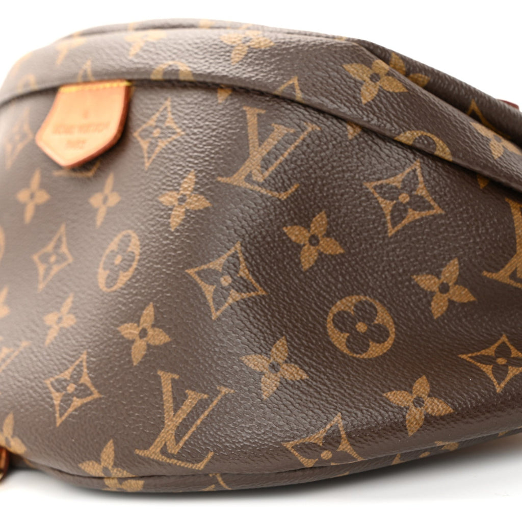 Louis Vuitton Monogram Bumbag