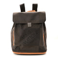 Louis Vuitton Damier Geant Pionnier Backpack Sable