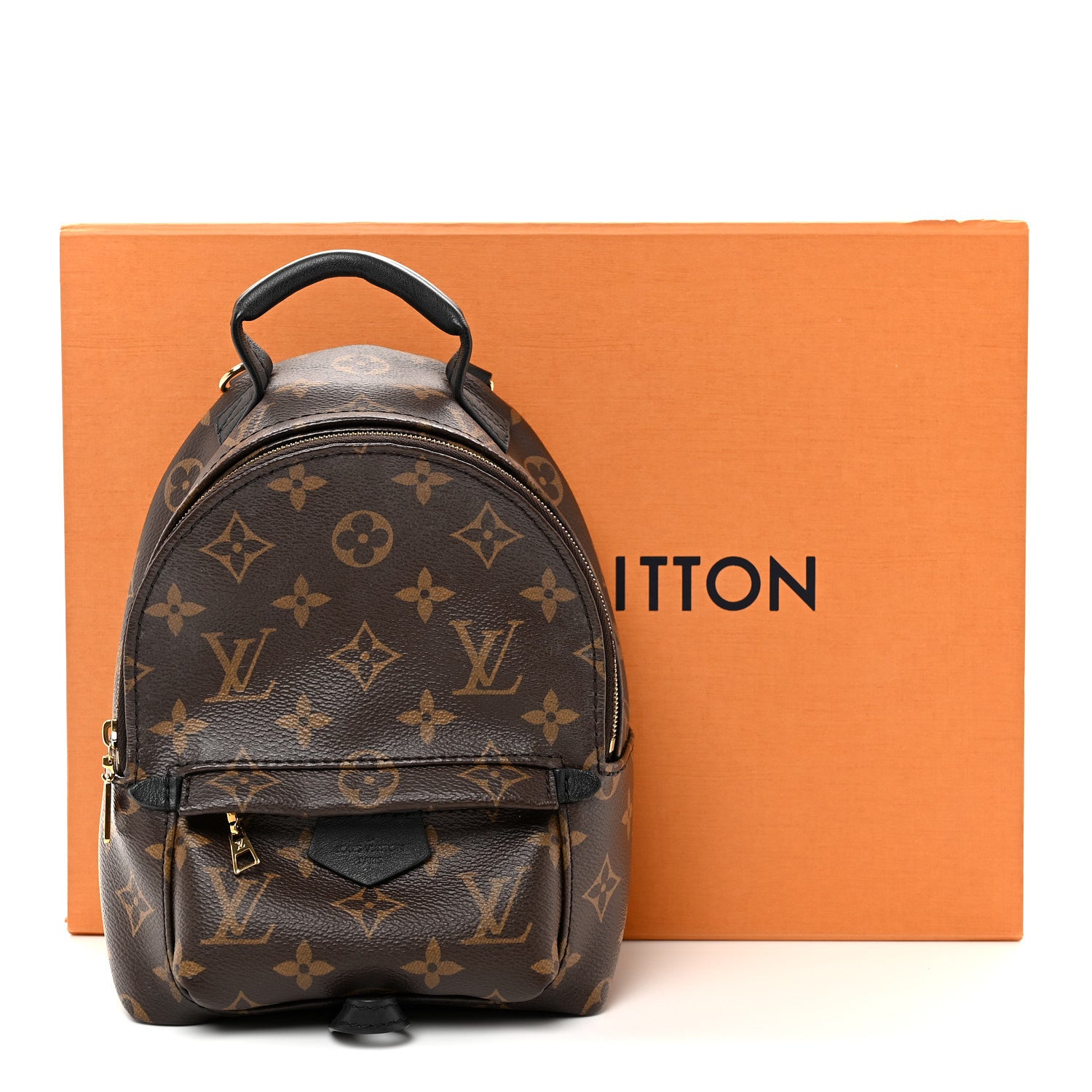 Louis Vuitton Monogram Palm Springs Backpack Mini