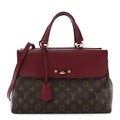 Louis Vuitton Monogram Venus Raisin