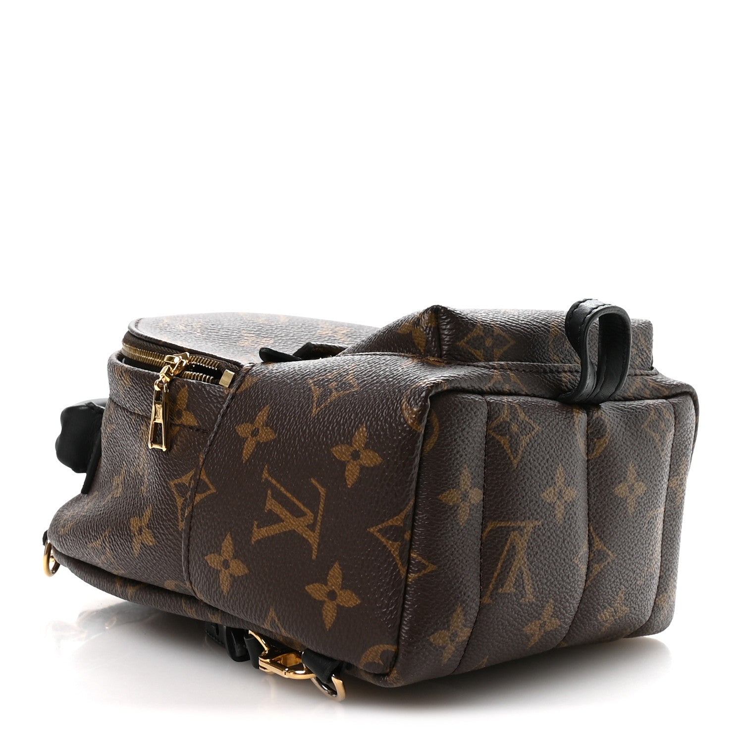 Louis Vuitton Monogram Palm Springs Backpack Mini