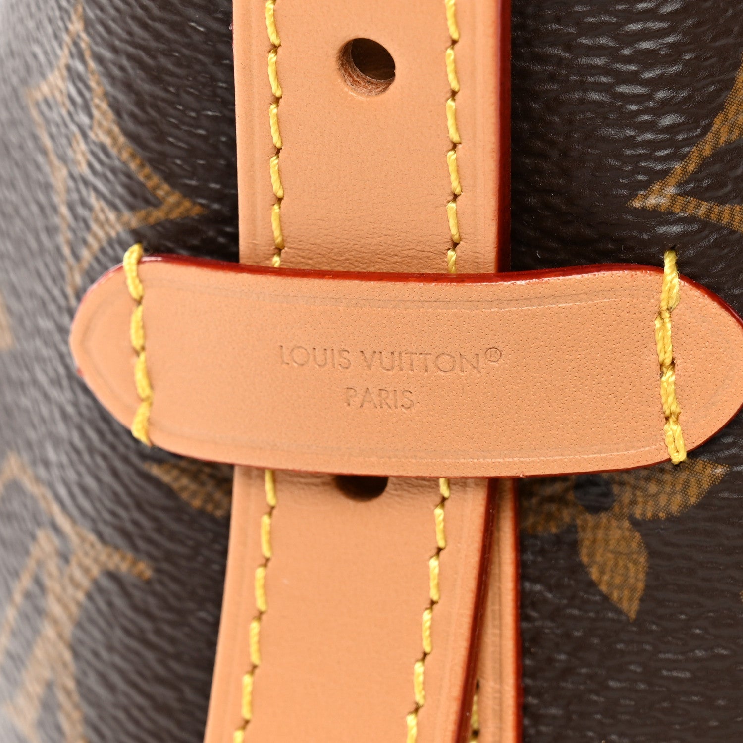 Louis Vuitton Monogram Carryall PM