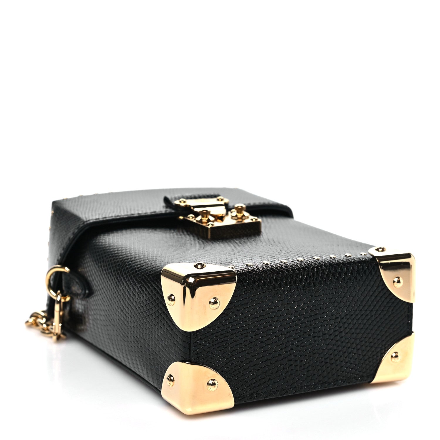 Louis Vuitton Lizard Camera Box Black