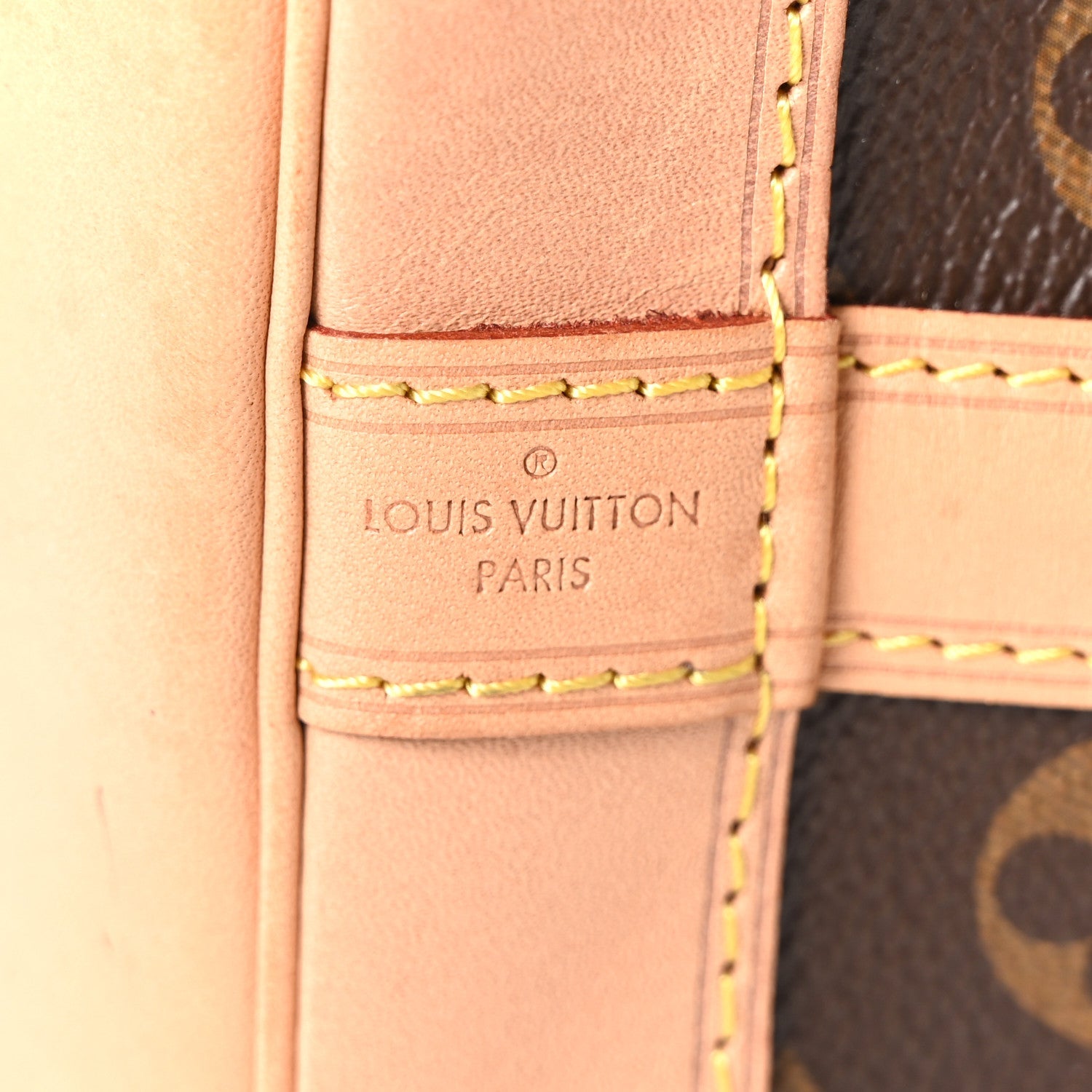 Louis Vuitton Monogram Petit Noe NM