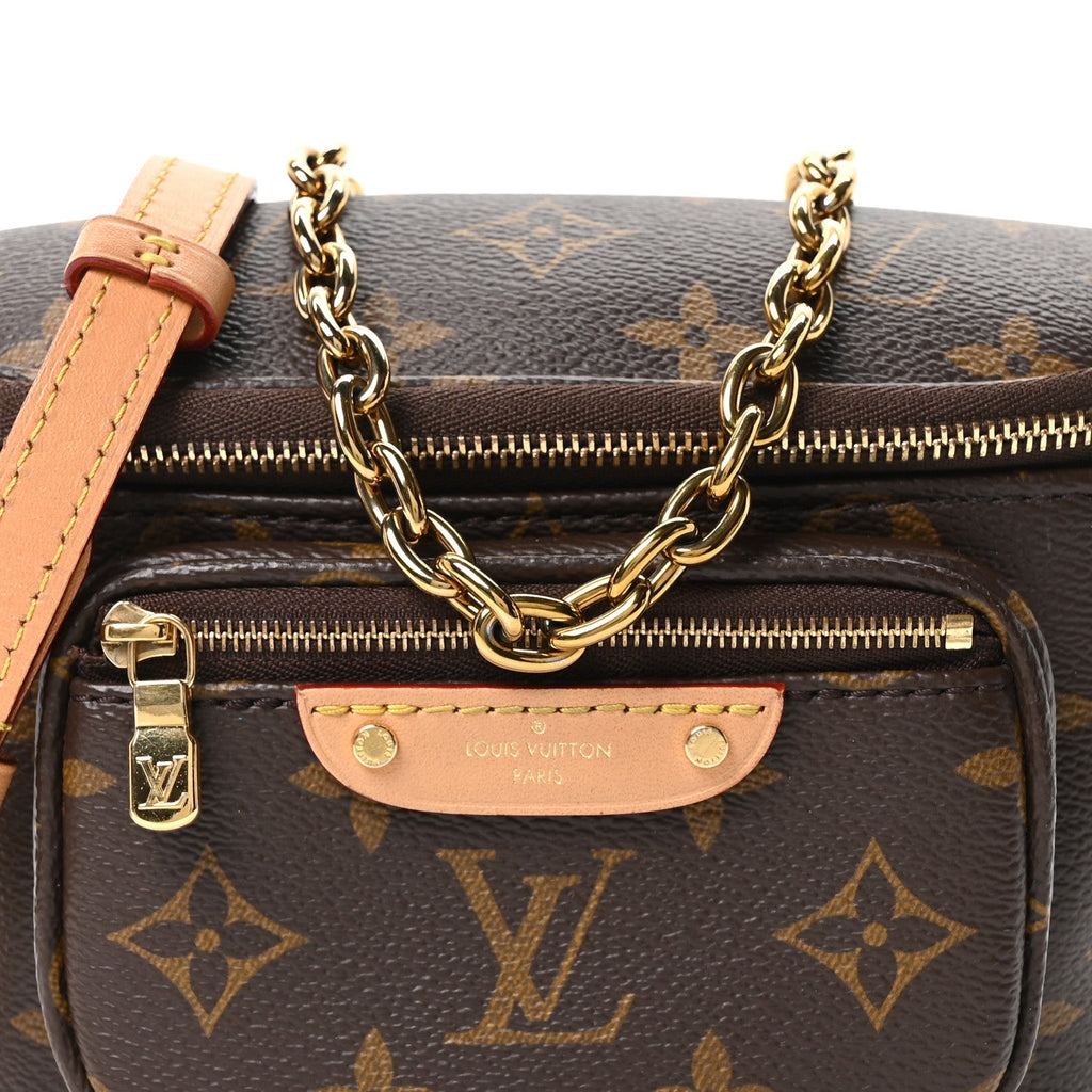 Louis Vuitton Monogram Mini Bumbag