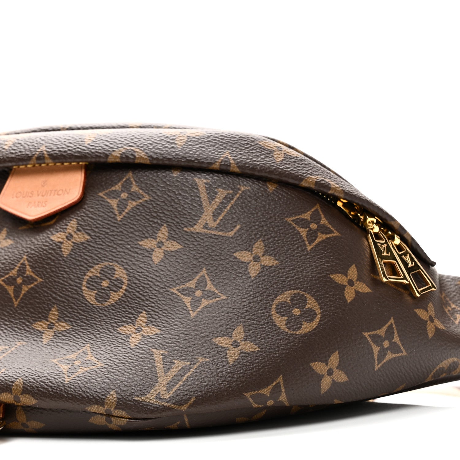 Louis Vuitton Monogram Bumbag