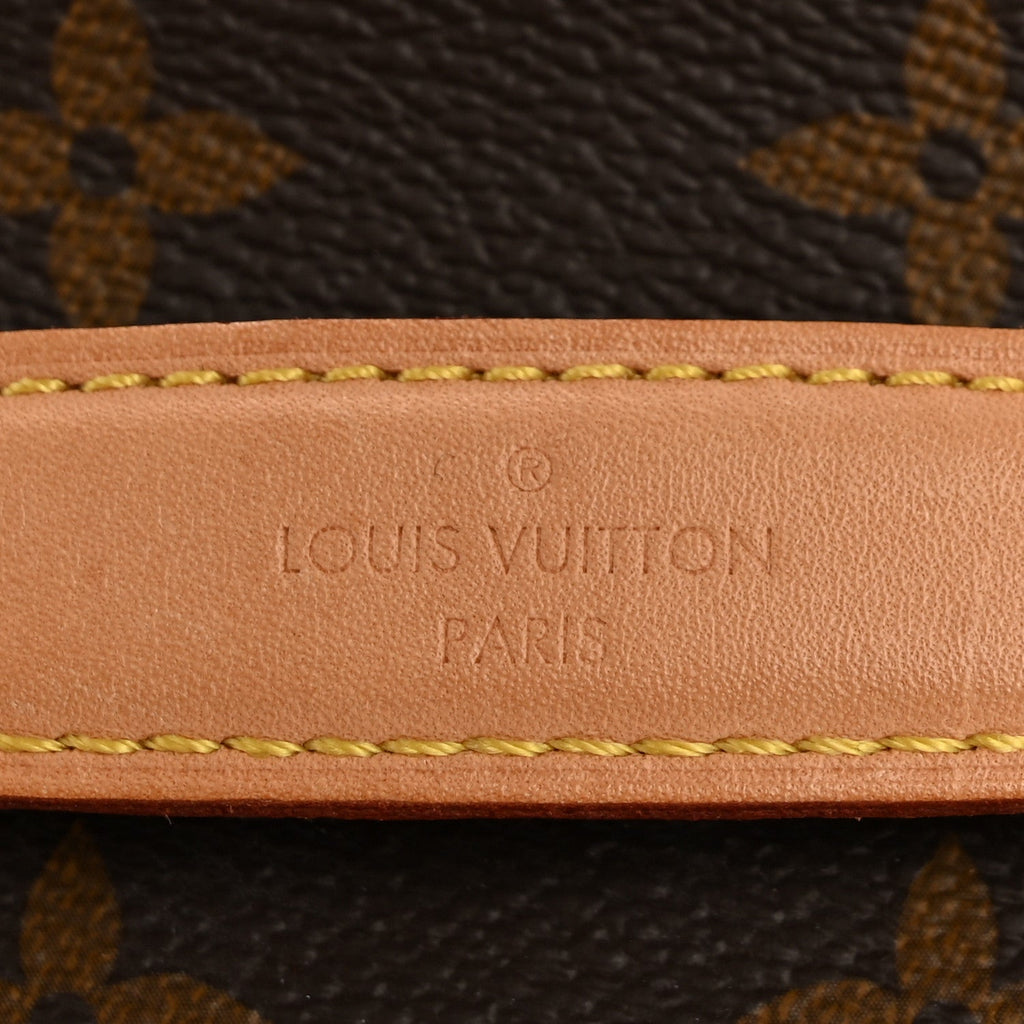 Louis Vuitton Monogram Nice Mini