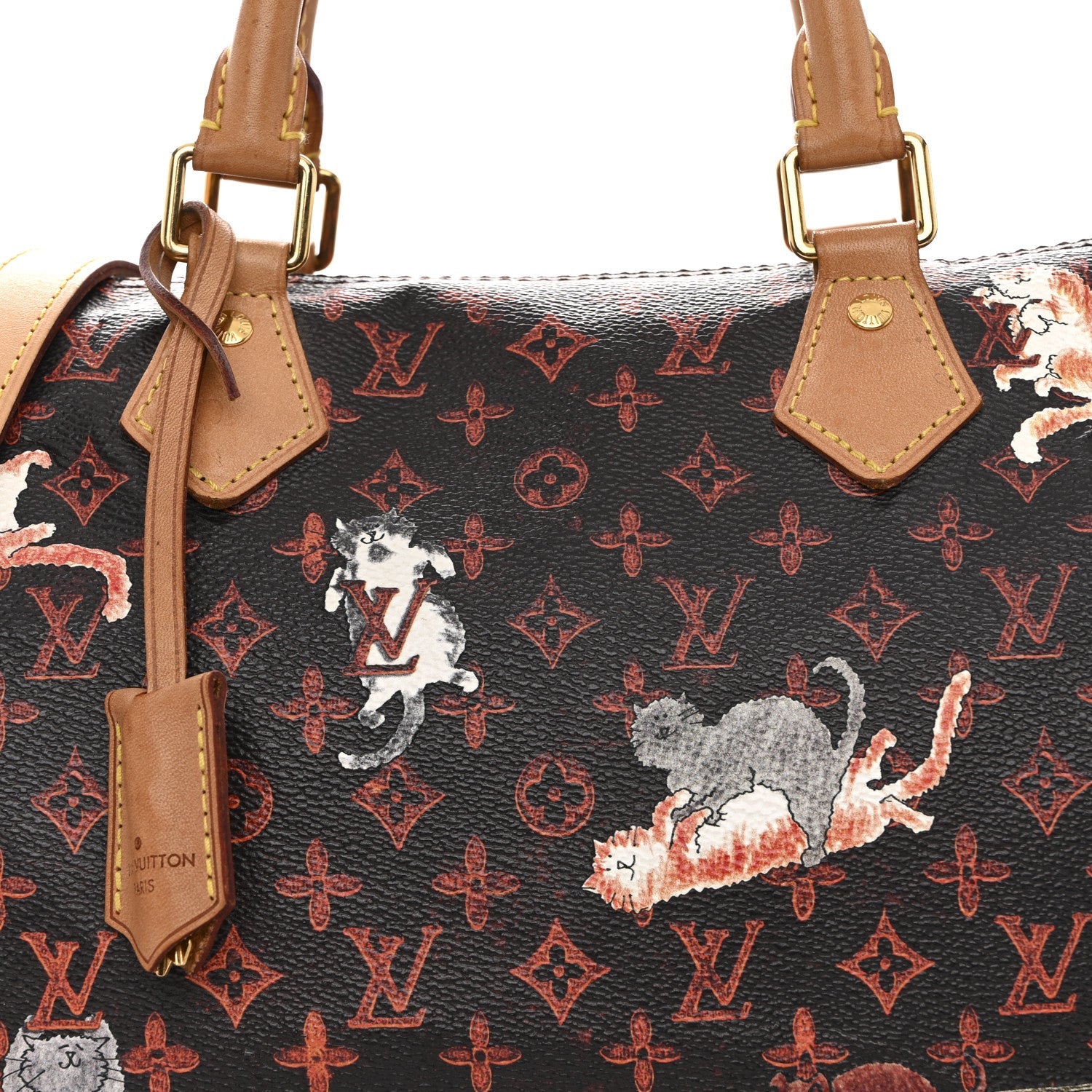 Louis Vuitton Catogram Speedy Bandouliere 30 Marron