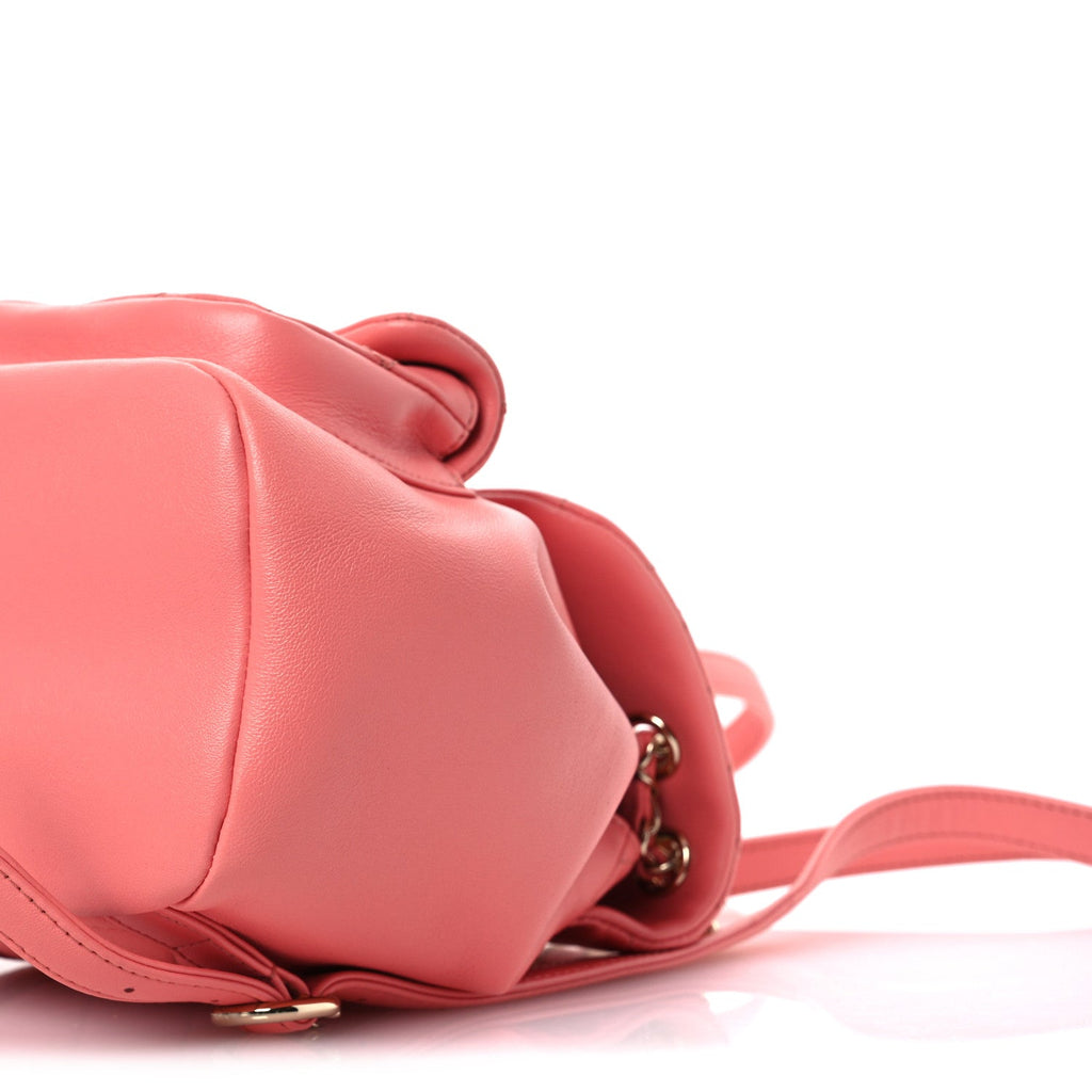 Chanel Lambskin Quilted Small Duma Drawstring Backpack Pink