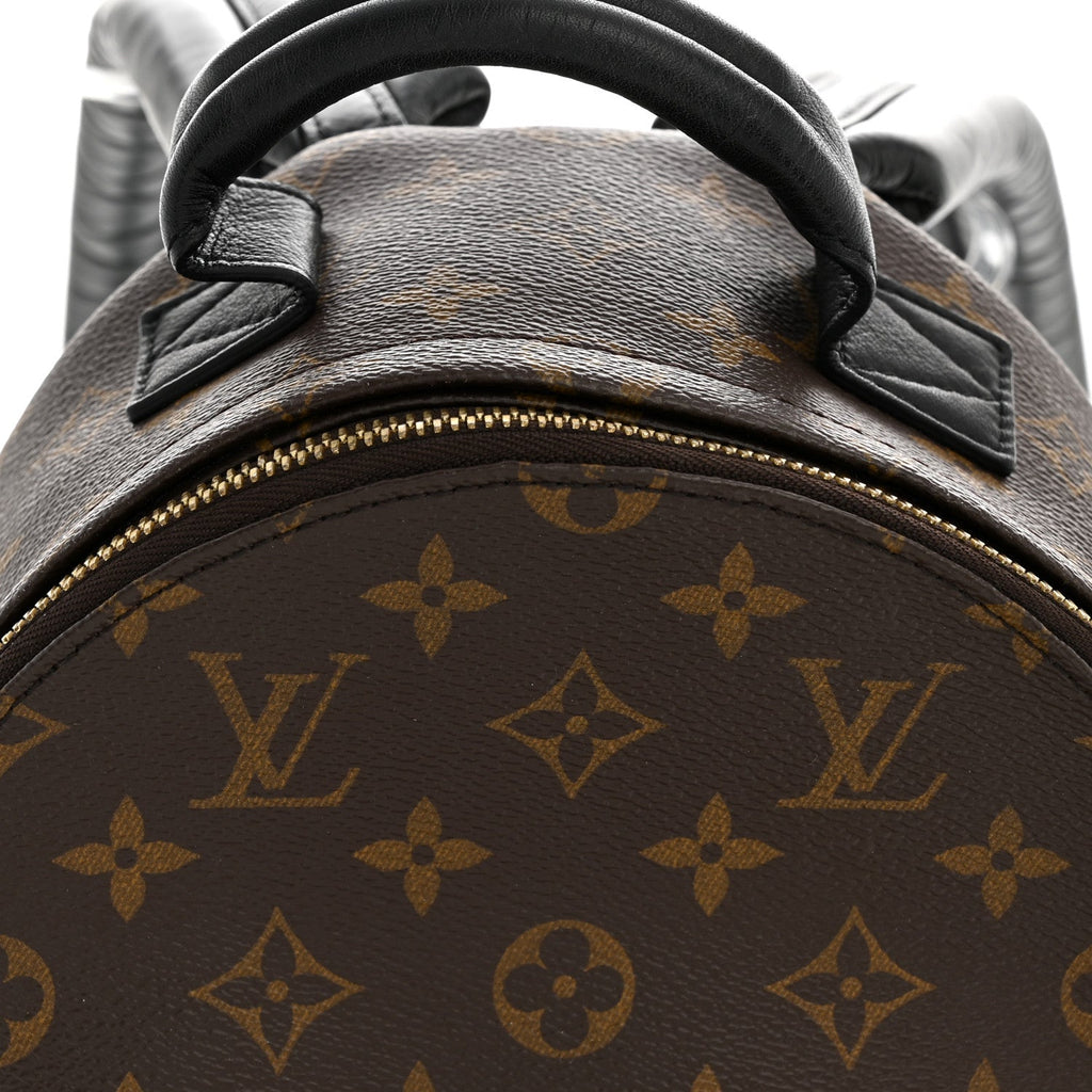 Louis Vuitton Monogram Palm Springs Backpack PM