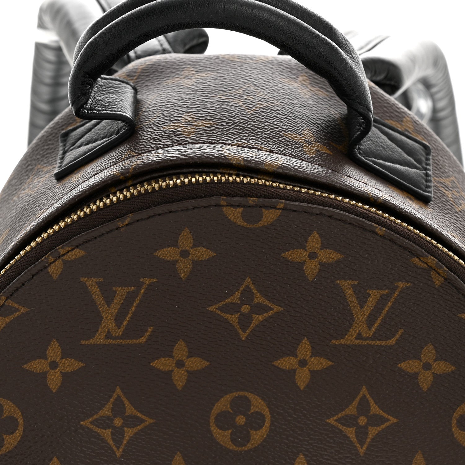 Louis Vuitton Monogram Palm Springs Backpack PM