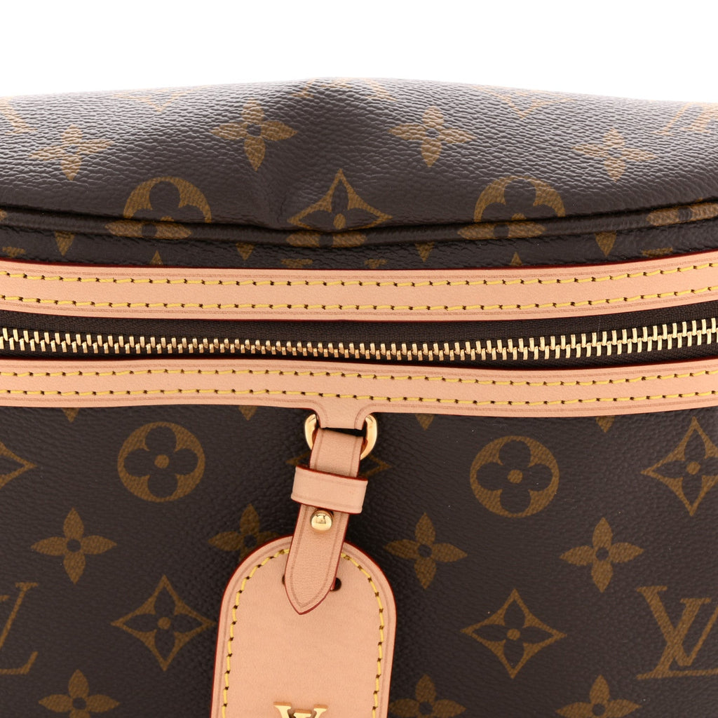 Louis Vuitton Monogram High Rise Bumbag
