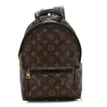 Louis Vuitton Monogram Palm Springs Backpack PM