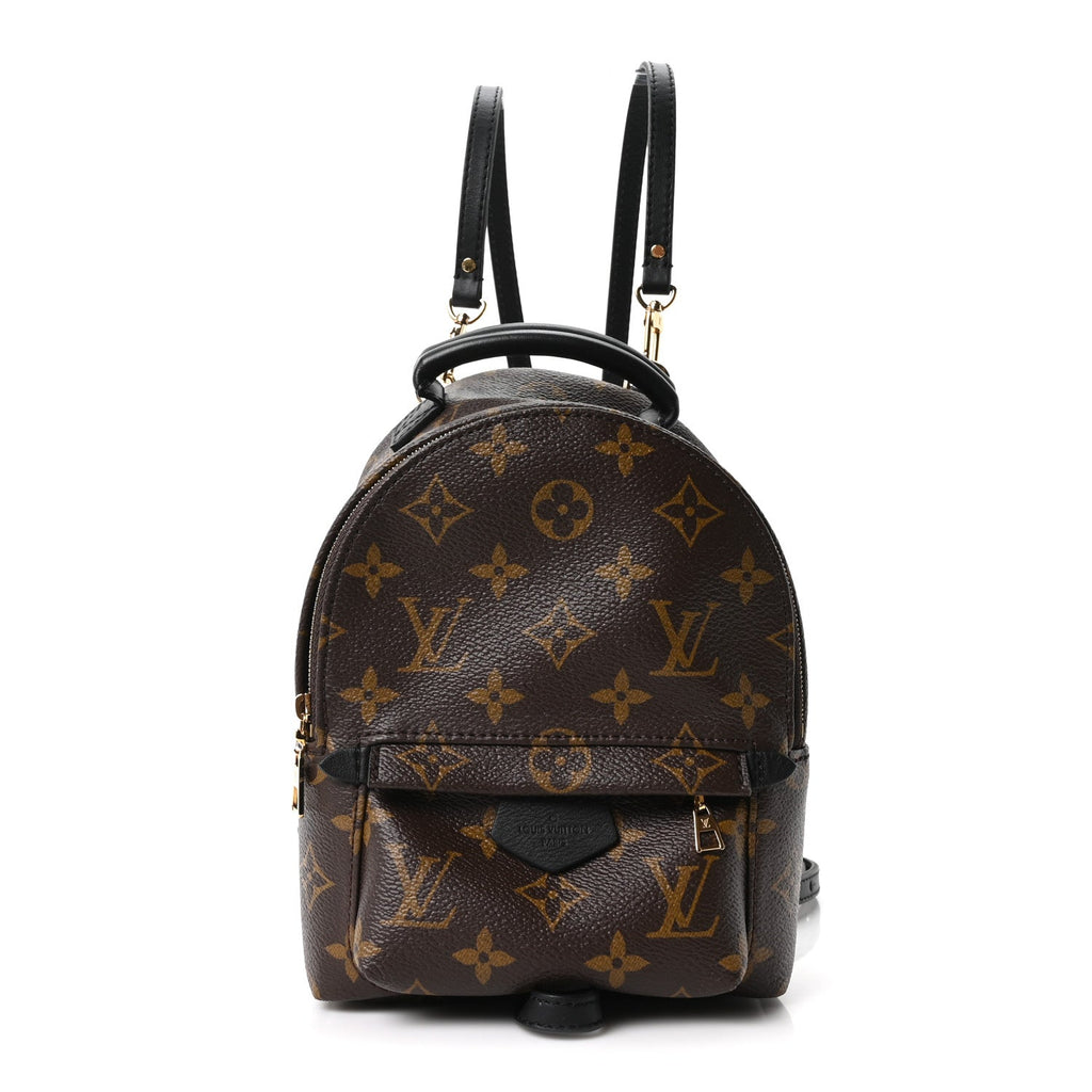 Louis Vuitton Monogram Palm Springs Backpack Mini