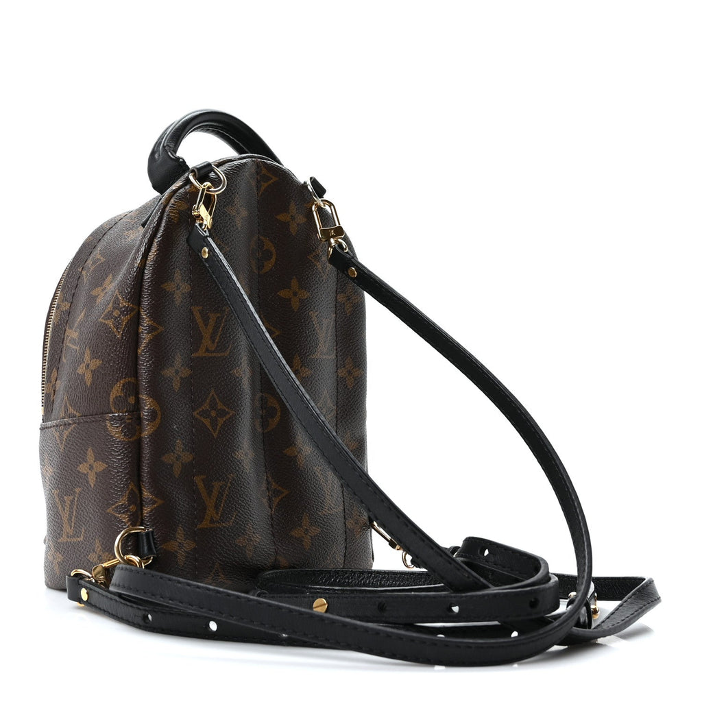 Louis Vuitton Monogram Palm Springs Backpack Mini