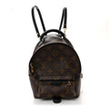 Louis Vuitton Monogram Palm Springs Backpack Mini