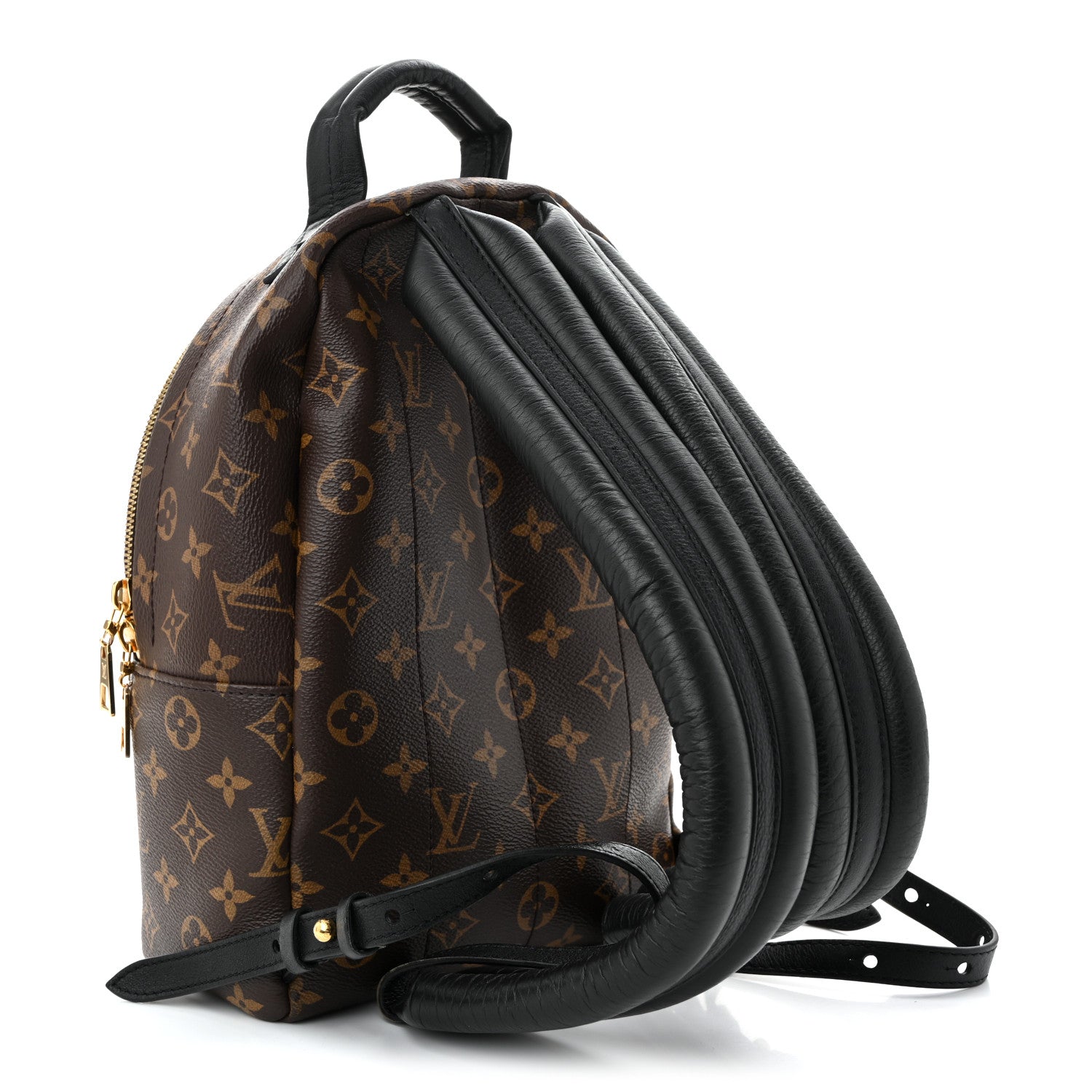 Louis Vuitton Monogram Palm Springs Backpack PM