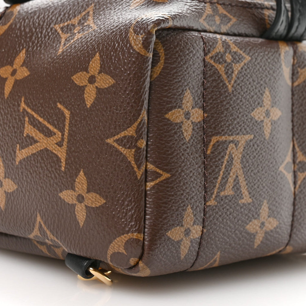 Louis Vuitton Monogram Palm Springs Backpack Mini