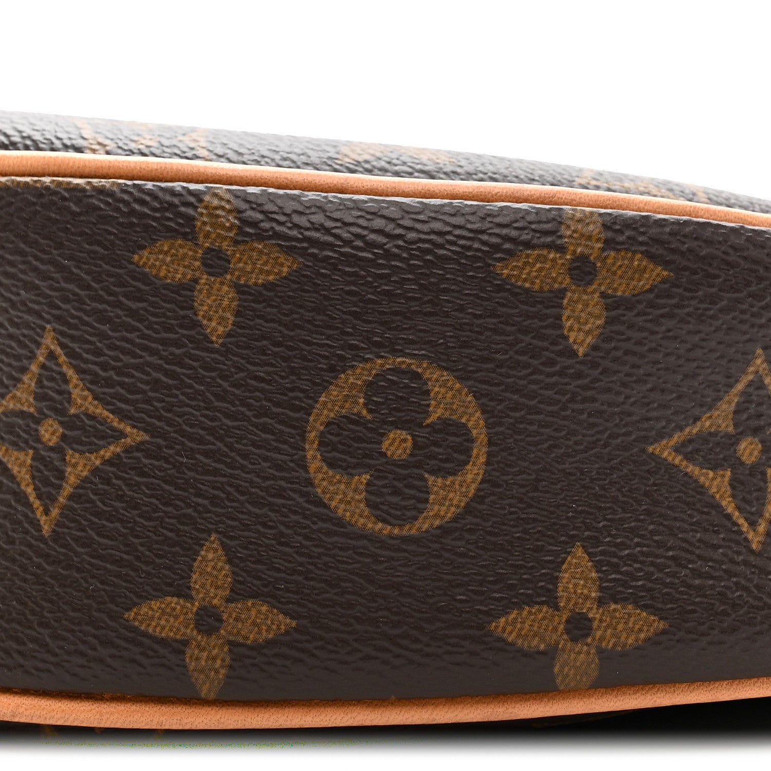 Louis Vuitton Monogram Loop