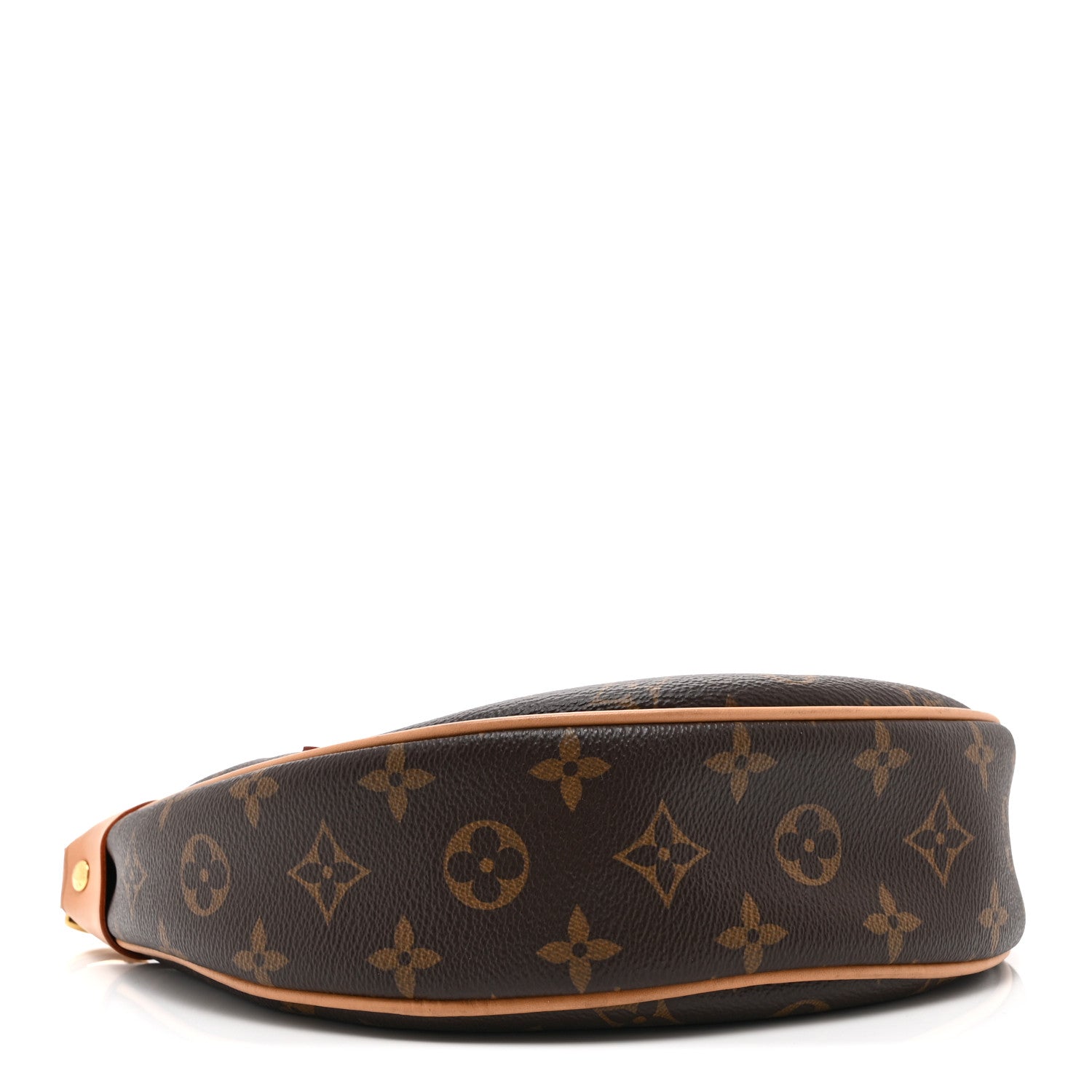 Louis Vuitton Monogram Loop