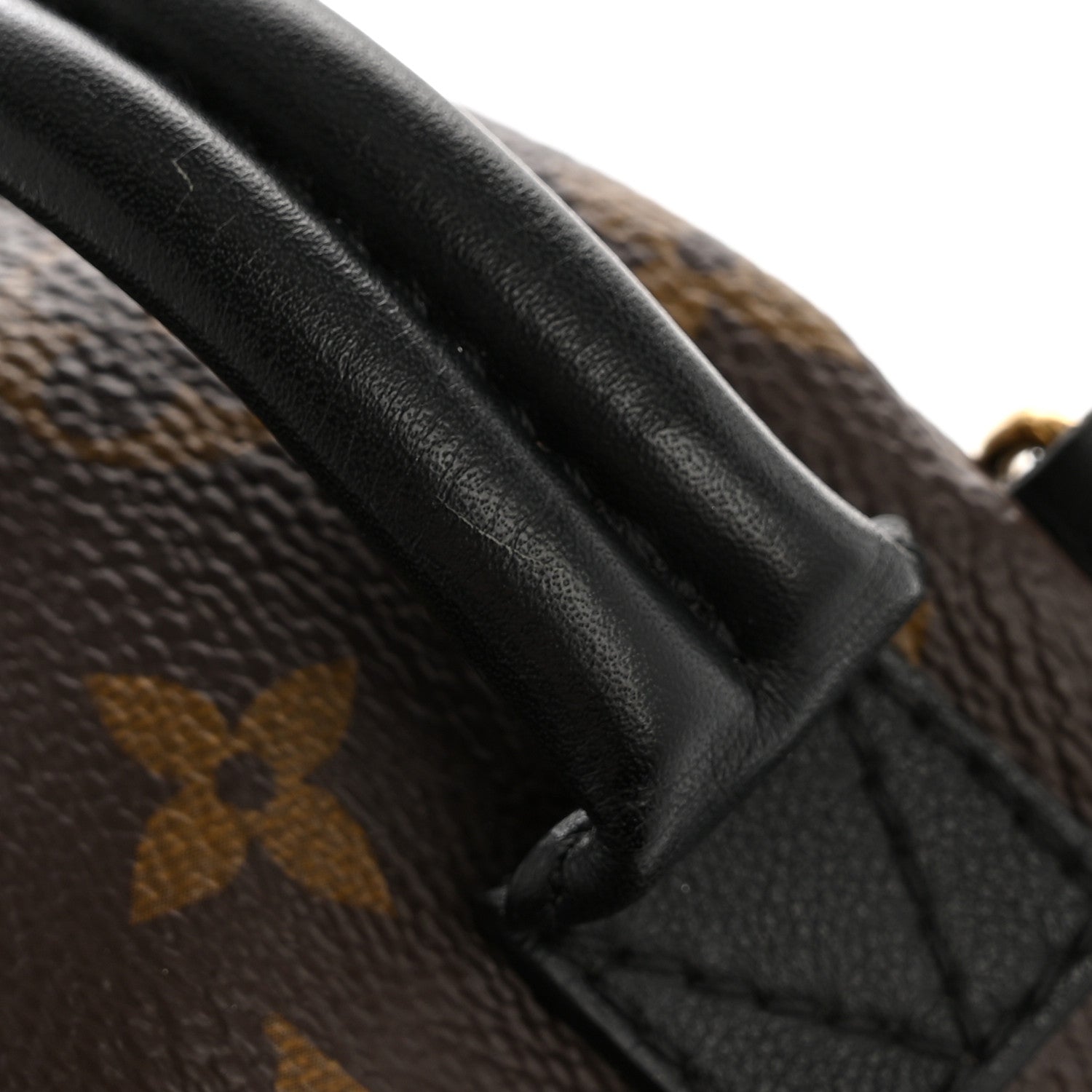 Louis Vuitton Monogram Palm Springs Backpack Mini