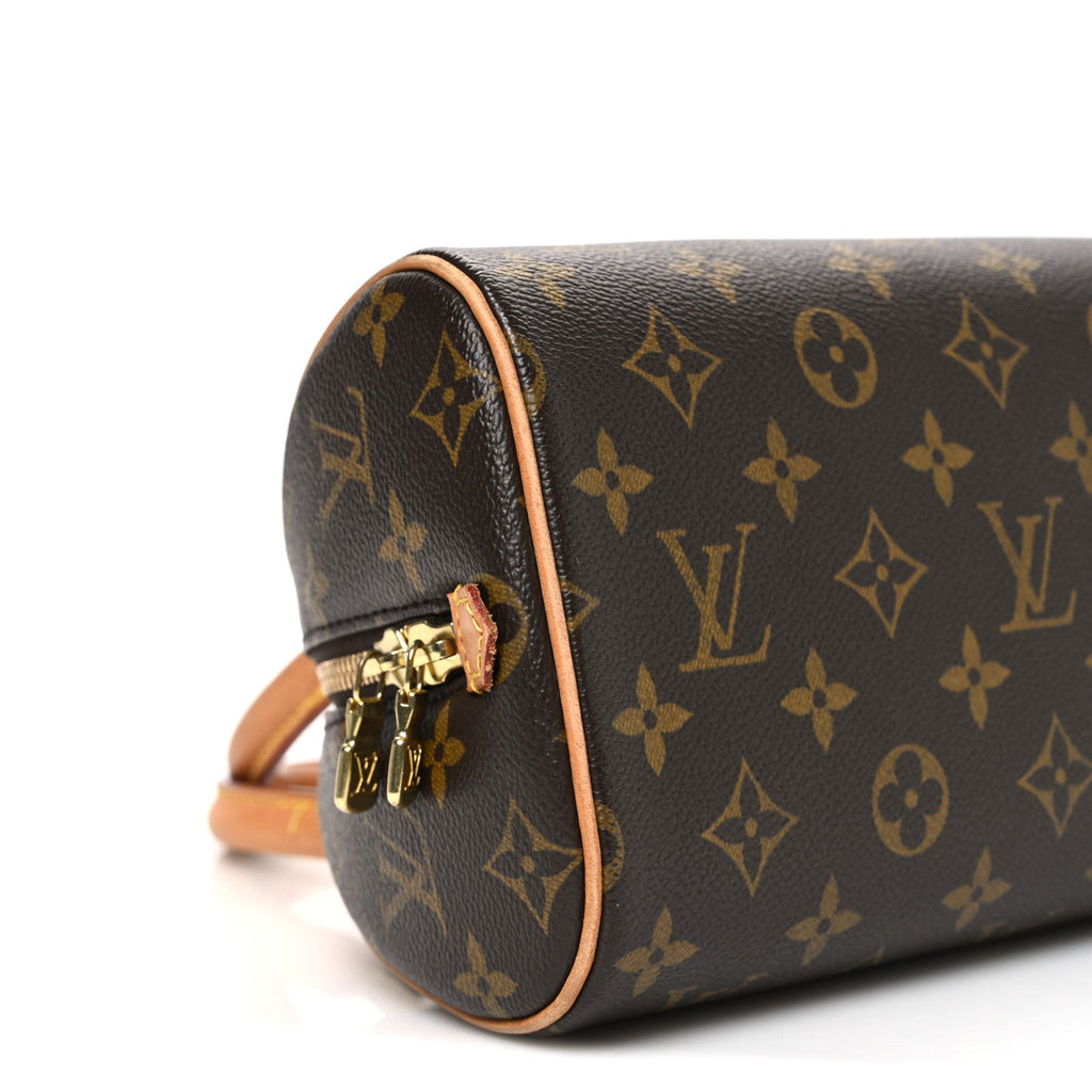 Louis Vuitton Monogram Ribera Mini
