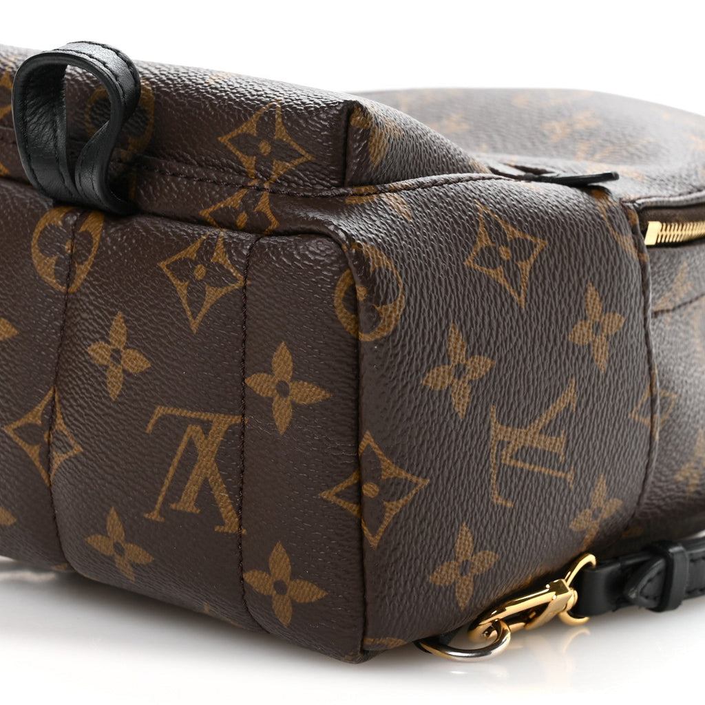 Louis Vuitton Monogram Palm Springs Backpack Mini