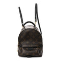 Louis Vuitton Monogram Palm Springs Backpack Mini