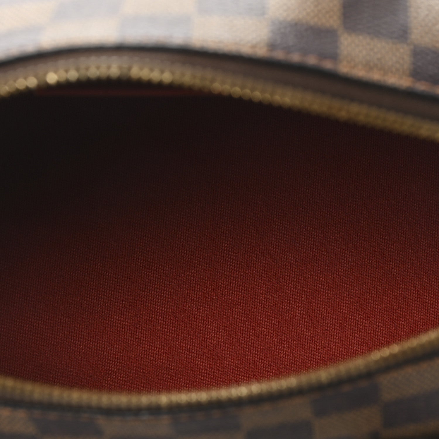 Louis Vuitton Damier Ebene Ribera MM