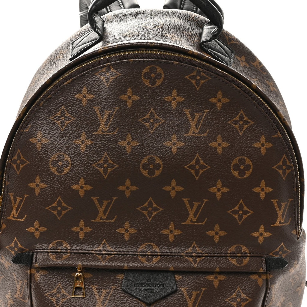 Louis Vuitton Monogram Palm Springs Backpack MM