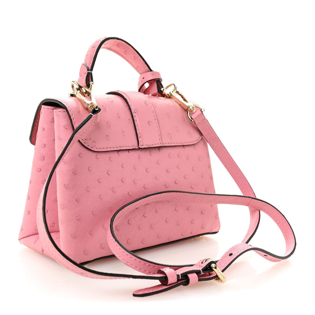Louis Vuitton Ostrich Rose Des Vents Mini Pink
