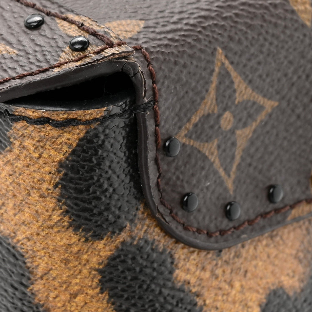 Louis Vuitton Monogram Leopard Camera Box