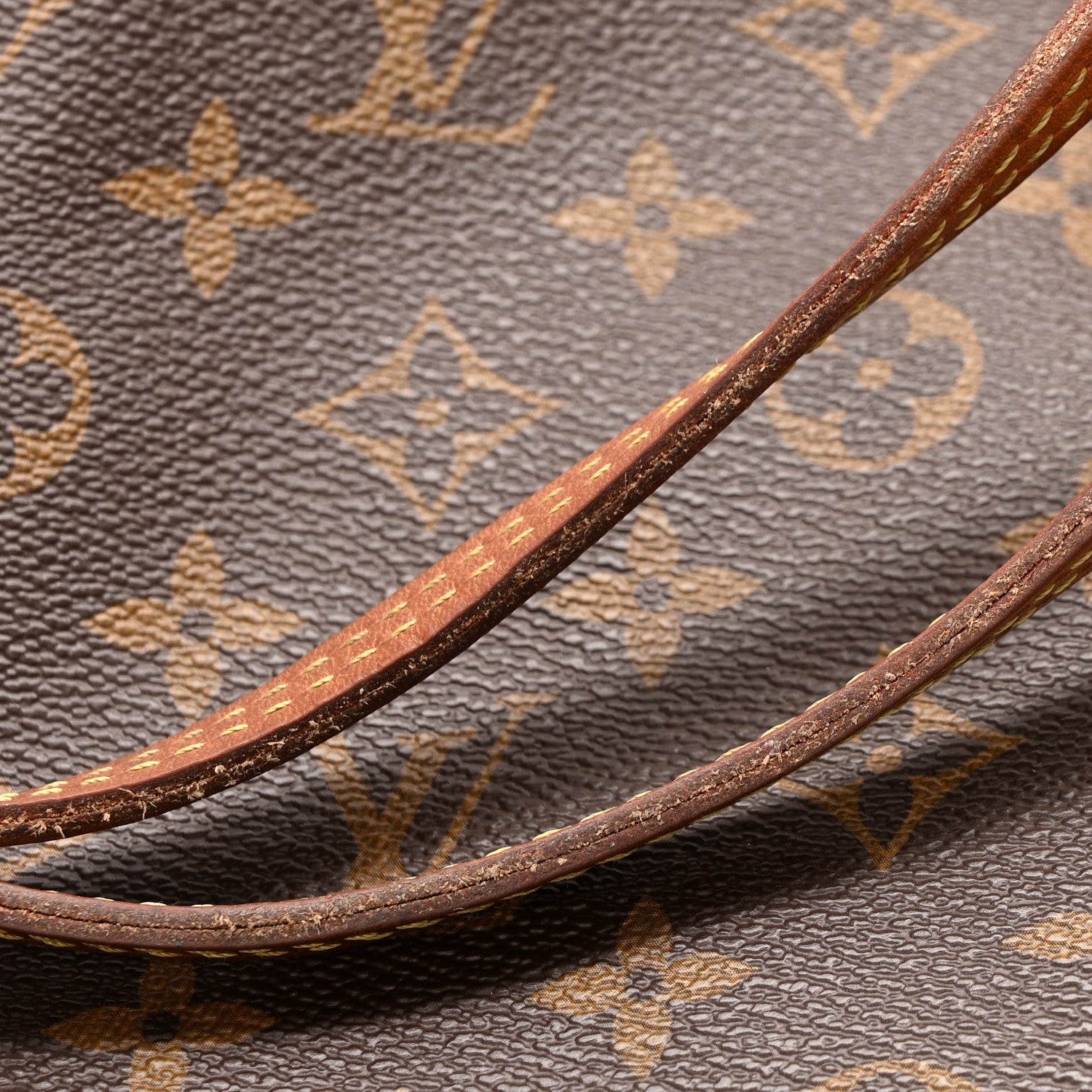 Louis Vuitton Monogram Neo Neverfull PM