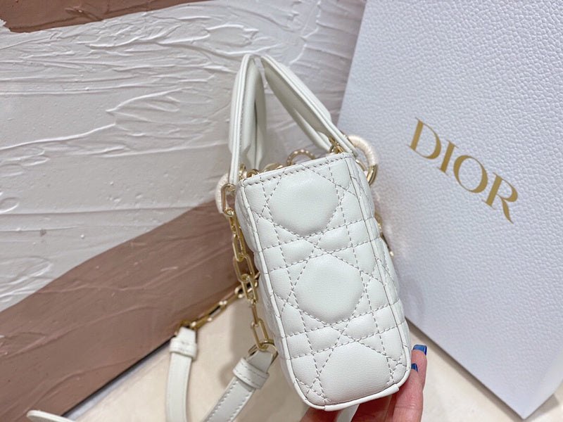 Dior Bag