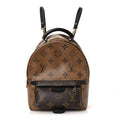 Louis Vuitton Reverse Monogram Palm Springs Backpack Mini