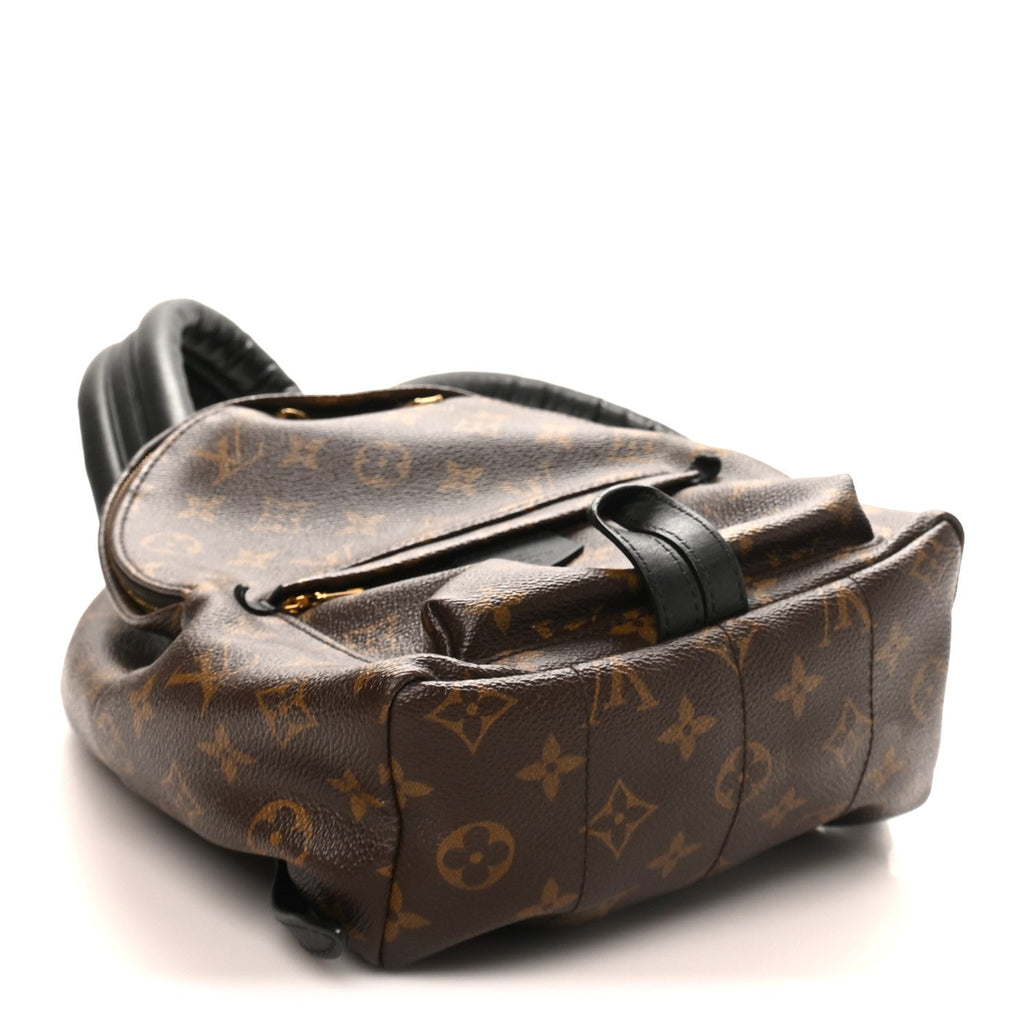 Louis Vuitton Monogram Palm Springs Backpack PM
