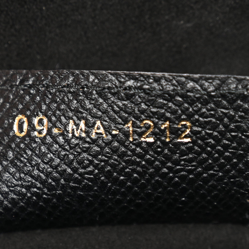 Christian Dior Grained Calfskin Saddle Bag With Strap Black
